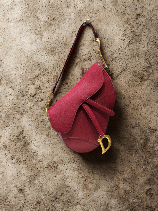 Dior Saddle - Iconic bag